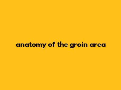 Anatomy Of The Groin Area