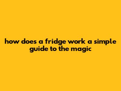 How Does A Fridge Work: A Simple Guide To The Magic