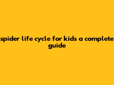 Spider Life Cycle For Kids: A Complete Guide