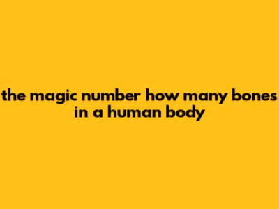 "The Magic Number: How Many Bones In A Human Body
