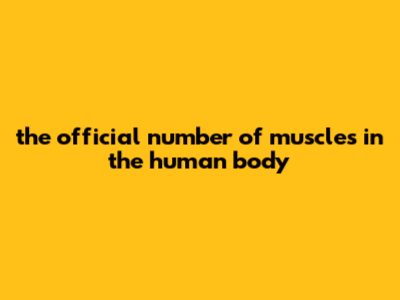 The Official Number Of Muscles In The Human Body