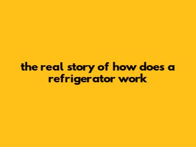 The Real Story Of How Does A Refrigerator Work