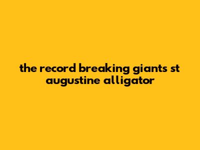 The Record-Breaking Giants: St. Augustine Alligator
