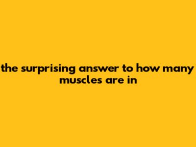 The Surprising Answer To How Many Muscles Are In