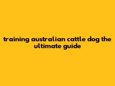 Training Australian Cattle Dog: The Ultimate Guide