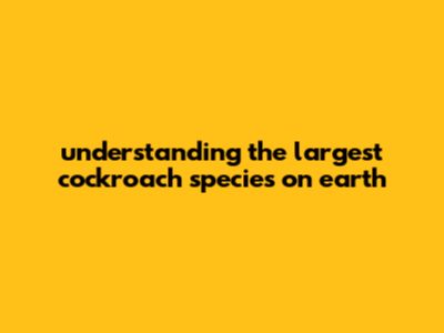 Understanding The Largest Cockroach Species On Earth