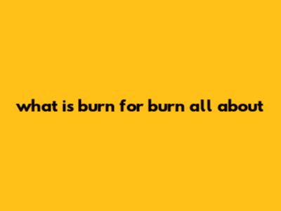 What Is Burn For Burn All About?